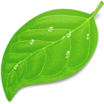 giant_leaf